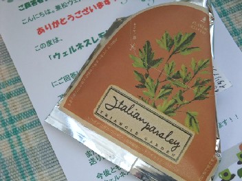 トライアルガーデン・ハーブ栽培セット