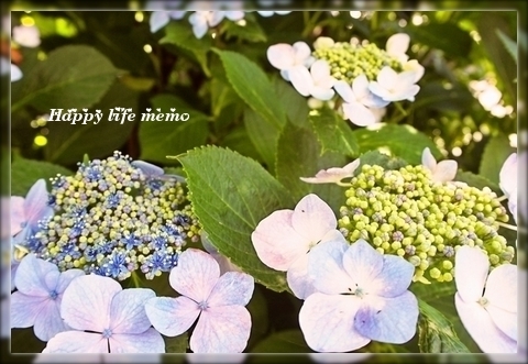 UGWeHXW4XuaX34y1466139317_1466139401.jpg